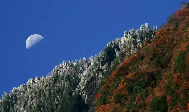 元旦哪里游？相约北川，九皇山滑雪、羌寨赛舞
