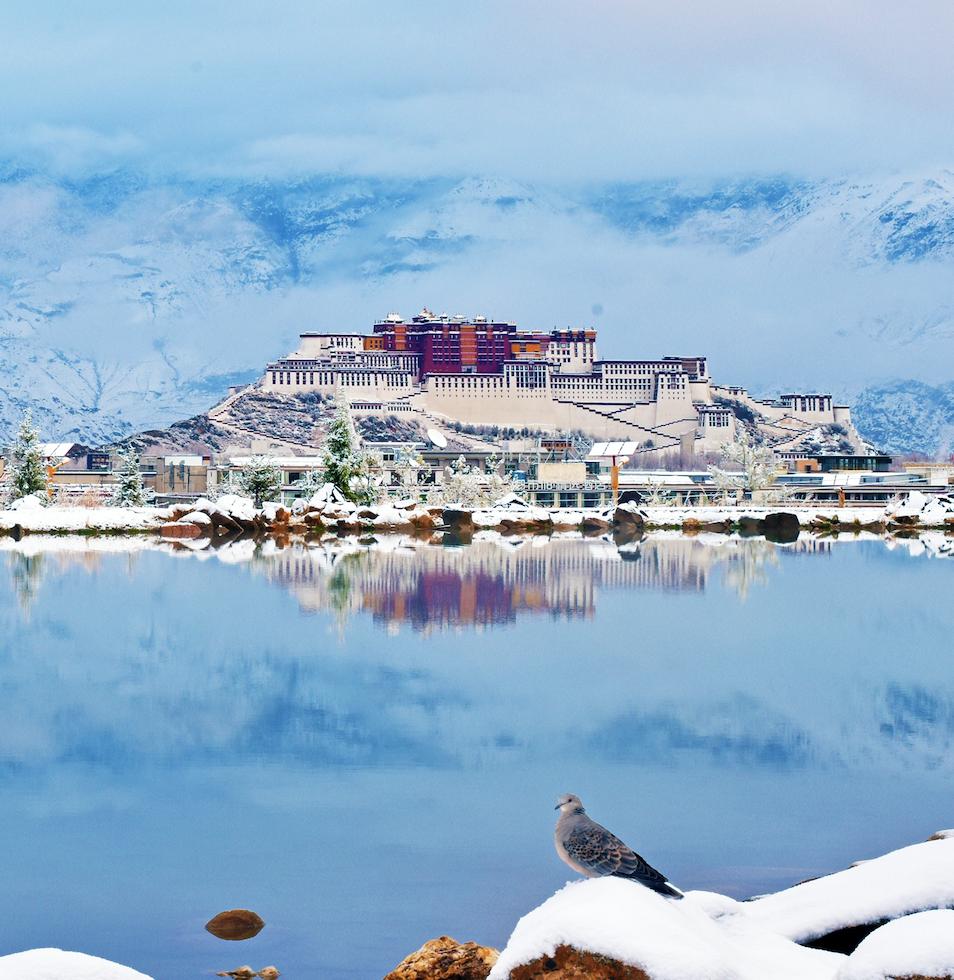 “冬游拉萨·雪域邀约”旅游消费券联合发放活动启动